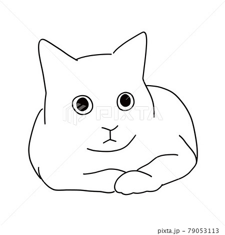 香箱座りの猫の線画イラスト 79053113