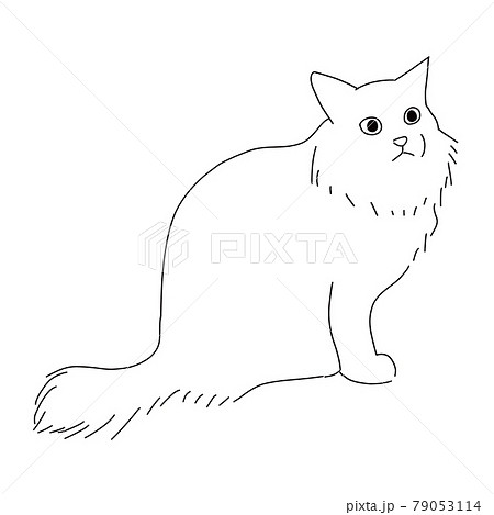 長毛種の毛足の長い猫の線画イラストのイラスト素材