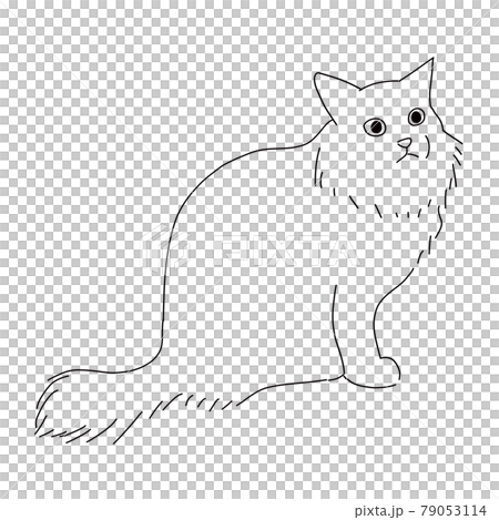 長毛種の毛足の長い猫の線画イラスト 長毛種の毛足の長い猫の線画イラスト 79053114