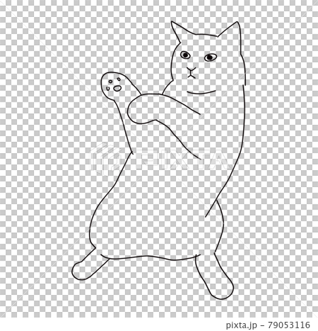 Line drawing illustration of a fighting cat Line drawing illustration of a fighting cat 79053116