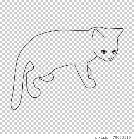 Line drawing illustration of a standing kitten Line drawing illustration of a standing kitten 79053119