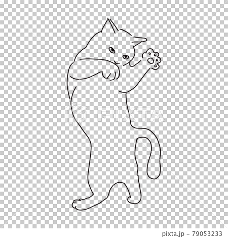 以戰鬥姿勢戰鬥的貓的線描插圖 79053233