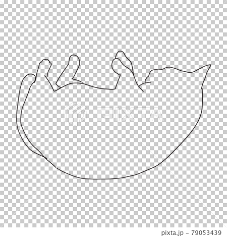 Line drawing illustration of a sleeping cat Line drawing illustration of a sleeping cat 79053439