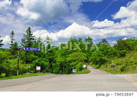 初夏の鉢伏高原スカイライン 79053697