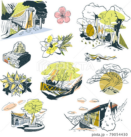 台湾 桜 さくら 79054430