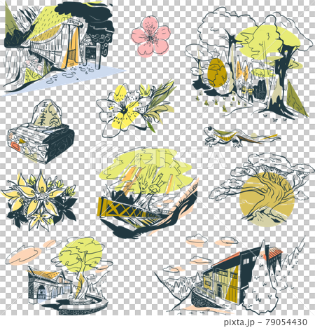 台湾 桜 さくら 79054430