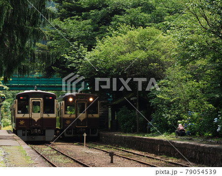 初夏のわたらせ渓谷鉄道 79054539