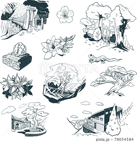 台湾 桜 さくら 79054584