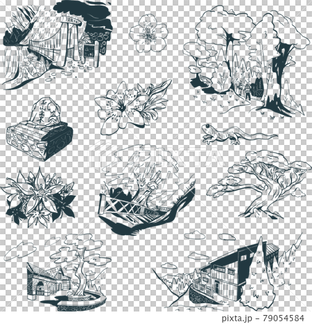 台湾 桜 さくら 79054584