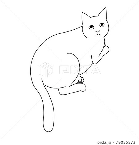 座っている猫の線画イラストのイラスト素材