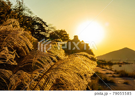 夕陽に染まる、国宝犬山城〈愛知県犬山市〉 夕陽に染まる、国宝犬山城〈愛知県犬山市〉 79055585