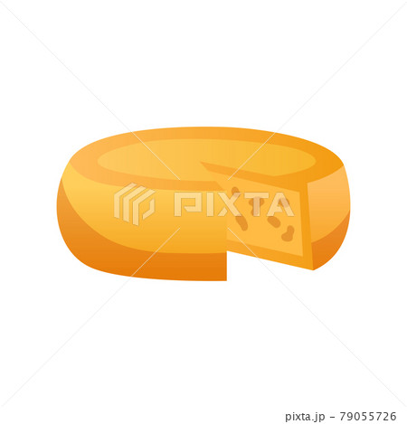 Cheese Flat Illustration 79055726