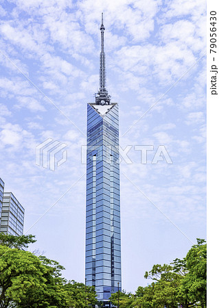 サザエさん通りから見た美しい福岡タワー サザエさん通りから見た美しい福岡タワー 79056430