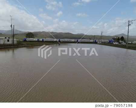 JR北海道ラベンダー編成 79057198