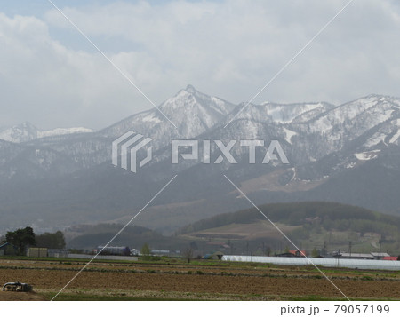 JR北海道ラベンダー編成 JR北海道ラベンダー編成 79057199