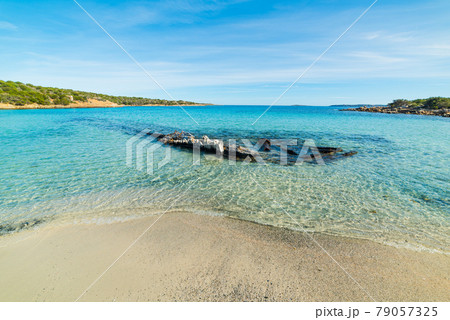 Spiaggia del Relitto in Caprera Spiaggia del Relitto in Caprera 79057325