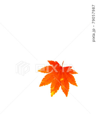 紅葉の景色 篠山の秋 風景 篠山 田舎 79057987