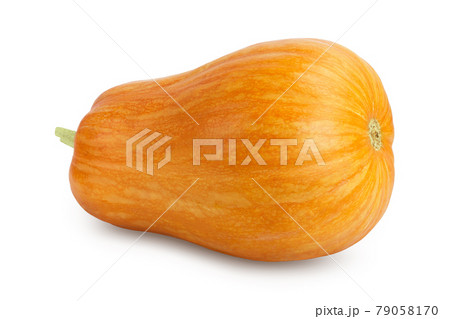 butternut squash isolated on white background with clipping path and full depth of field butternut squash isolated on white background with clipping path and full depth of field 79058170