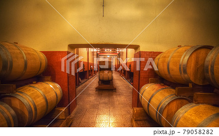 Barrells in wine cellar Barrells in wine cellar 79058282