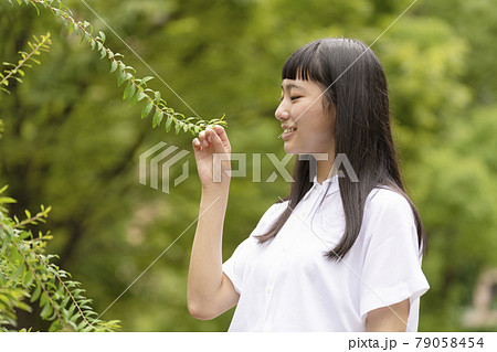 エコロジーイメージ　葉　手　少女 79058454