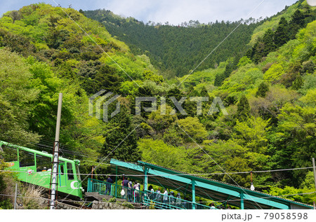 大山ケーブルカー（神奈川県伊勢原市） 79058598