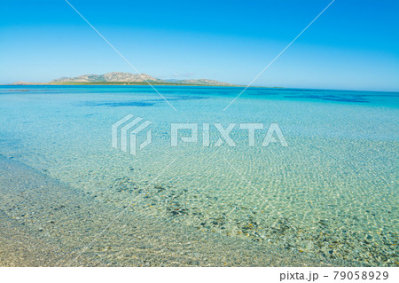 Clear water in Stintino 79058929