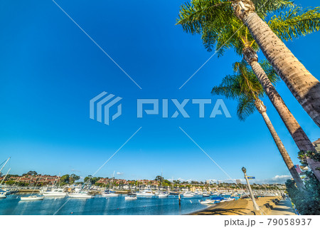 North Bay Front in Balboa Island 79058937