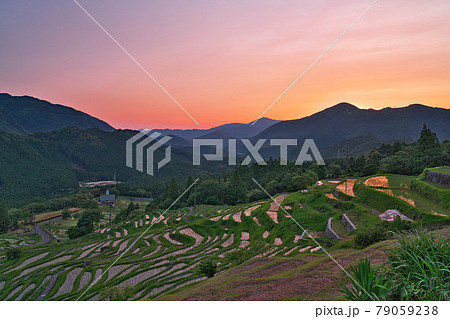 【丸山千枚田 (夕刻)】 三重県熊野市紀和町丸山 79059238