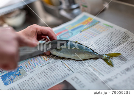 魚料理　下ごしらえ　さばく 79059285