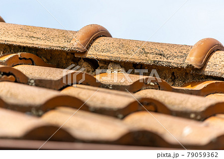 瓦屋根の劣化 79059362