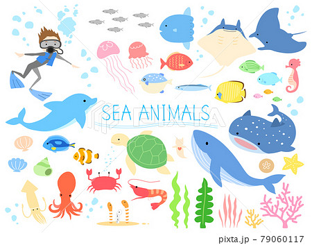 海の生き物 イラストセットのイラスト素材