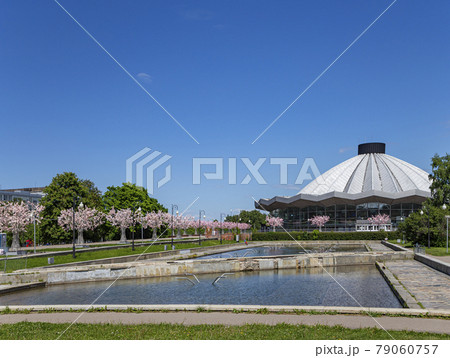 View over the Moscow State Circus  on Vernadskogo Prospekt with blooming spring trees, sunny day, Russia 79060757