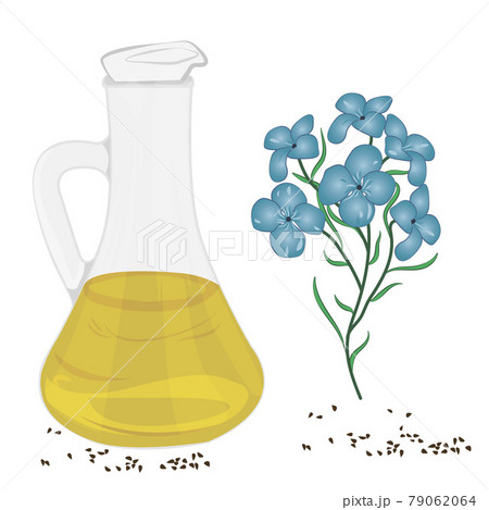 Flaxseed essential oil vector illustration on a white background 79062064