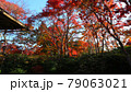 京都   嵐山   大河内山荘 79063021