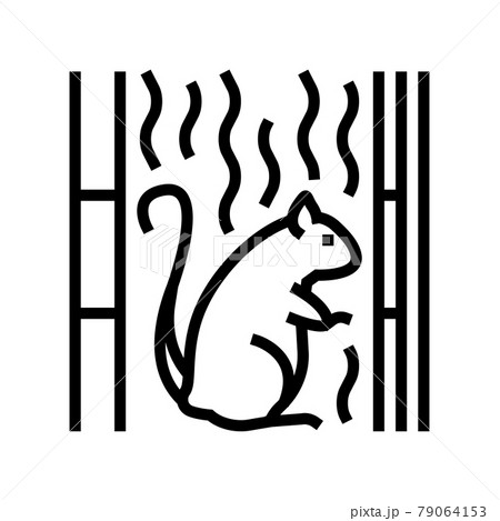 rat living in cotton wool in wall line icon vector illustration rat living in cotton wool in wall line icon vector illustration 79064153