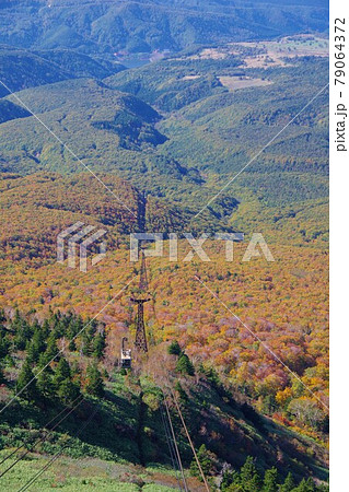 青森県 八甲田ロープウェーから見た紅葉 青森県 八甲田ロープウェーから見た紅葉 79064372