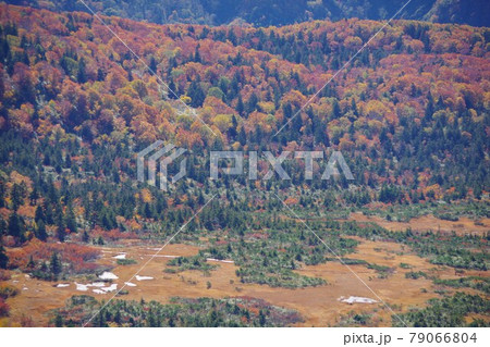 青森県 八甲田ロープウェー山頂公園駅展望台から草紅葉の湿原が広がる毛無岱を望む 青森県 八甲田ロープウェー山頂公園駅展望台から草紅葉の湿原が広がる毛無岱を望む 79066804