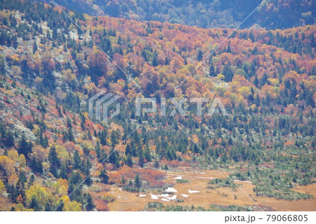 青森県 八甲田ロープウェー山頂公園駅展望台から草紅葉の湿原が広がる毛無岱を望む 青森県 八甲田ロープウェー山頂公園駅展望台から草紅葉の湿原が広がる毛無岱を望む 79066805