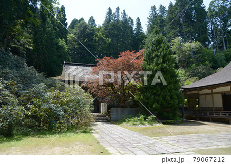 高野山金剛三昧院　本堂　和歌山県高野町 79067212