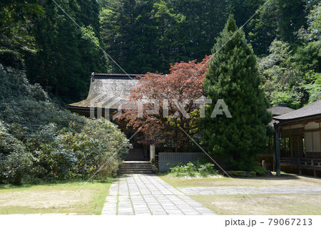 高野山金剛三昧院　本堂　和歌山県高野町 79067213