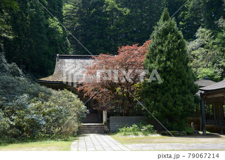 高野山金剛三昧院 本堂 和歌山県高野町 高野山金剛三昧院 本堂 和歌山県高野町 79067214