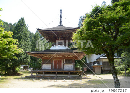 高野山金剛三昧院　多宝塔　和歌山県高野町 79067217