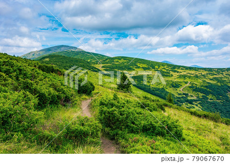 trail uphill the alpine meadow to the distant summit. beautiful mountain landscape in summertime. clouds on the sky. travel countryside concept trail uphill the alpine meadow to the distant summit. beautiful mountain landscape in summertime. clouds on the sky. travel countryside concept 79067670