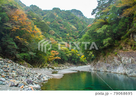 三重県 秋の大杉谷 三重県 秋の大杉谷 79068695