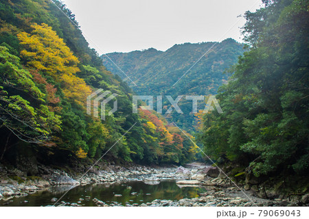 三重県 秋の大杉谷 三重県 秋の大杉谷 79069043