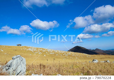 高知県　天狗高原 79070228