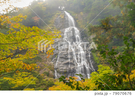 三重県大杉谷 千尋滝 三重県大杉谷 千尋滝 79070676