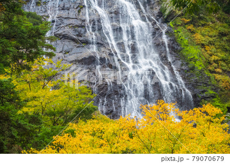 三重県大杉谷　千尋滝　 79070679