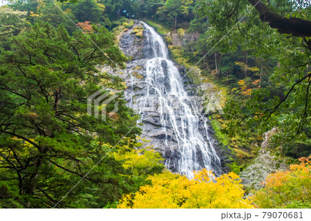 三重県大杉谷　千尋滝　 79070681
