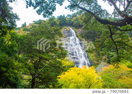 三重県大杉谷　千尋滝　 79070683